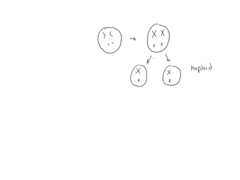 use-figure-7-1-to-answer-questions-1-and-2-regarding-the-cell-cycle-with-meiosis-after-meiosis-explain-what-has-happened-to-the-number-of-chromosomes-in-the-daughter-cells-compared-to-the-pa-55437
