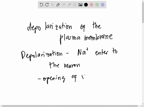 in-a-neuron-the-opening-of-sodium-gates-typically-leads-to-multiple-choice-repolarization-of-the-plasma-membrane-depolarization-of-the-plasma-membrane-plasma-membrane-voltage-returning-t0-th-77236