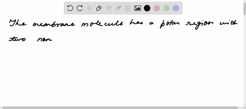 select-the-membrane-molecule-that-is-made-up-of-a-polar-region-with-two-nonpolar-fatty-acid-tails