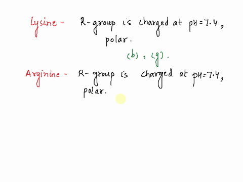below-are-seven-amino-acids-indicate-all-characteristics-that-apply-to-each-amino-acid-by-writing-letters-in-the-blanks-provided-amino-acid-lysine-______-arginine-______-proline-______-aspar-11543