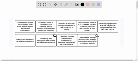 place-the-statements-to-their-correct-category-to-distinguish-between-the-various-types-of-hepatitis-virus-infection-transmission-through-blood-contact-body-fluids-sexual-activity-also-verti-67304
