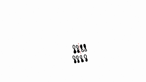 consider-the-molecular-orbitals-of-a-conjugated-diene-shown-below-6-pls-ou-2-alomic-cblol-which-molecular-orbital-of-conjugated-diene-contains-two-nodes-between-nuclei-ground-state-conjugale-36287