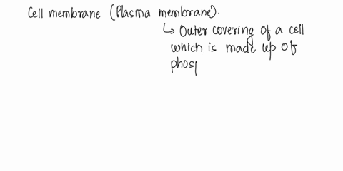 what-is-the-cell-membrane-made-of-choose-1-answer-choice-a-a-lipids-and-proteins-only-choice-b-b-lipids-only-choice-c-c-carbohydrates-and-lipids-only-choice-d-d-lipids-proteins-and-carbohydr-37233