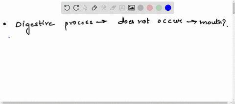 which-digestive-process-does-not-occur-in-the-mouth-mechanical-breakdown-segmentation-ingestion-64453