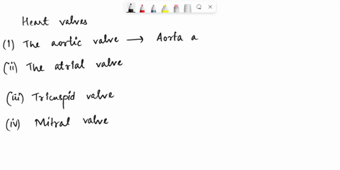 8-all-of-the-following-are-heart-valves-except-a-the-aortic-valve-b-the-atrial-valve-c-the-tricuspid-valve-d-the-mitral-valve-60564