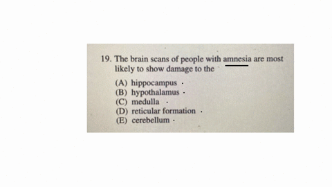 19-the-brain-scans-of-people-with-amnesia-are-most-likely-to-show-damage-to-the-a-hippocampus-b-hypothalamus-c-medulla-d-reticular-formation-e-cerebellum-20-in-treating-a-patient-for-depression-dr-pra