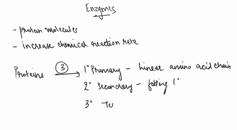 a-mutation-in-the-gene-coding-for-a-single-polypeptide-enzyme-results-in-the-substitution-of-the-amino-acid-serine-which-has-a-polar-r-group-by-the-amino-acid-phenylalanine-which-has-a-nonpo-80623