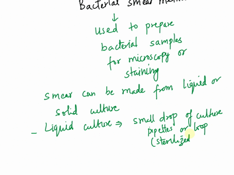 between-smears-from-liquid-and-solid-cultures-explain-the-differences-dlicle-2-explain-the-need-of-smear-to-be-air-dried-iaclr-i-to-k-ndbc-y-thc-enough-tu-aiv-dyina-iicar-n-t6mn-ab4-irt-alfu-37965