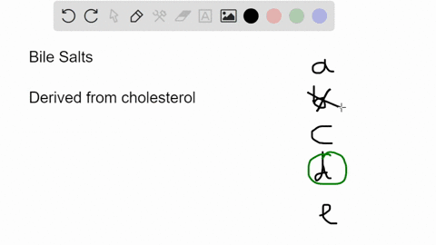 which-of-the-following-is-true-of-bile-salts-select-one-they-are-normally-an-ingredient-of-gastric-juice-they-are-enzymes-they-increase-the-efficiency-of-pepsin-action-they-emulsify-fats-in-30238