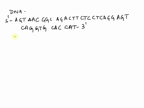 transcribe-the-following-dna-sequence-from-hba-record-your-answer-to-submit-for-grading-dna-sequence-5-agt-aac-ggc-aga-ctt-ctc-ctc-agg-agt-cag-gtg-cac-cat-3-mrna-sequence-aug-nucleotides-c-g-98008