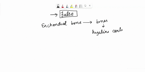 of-the-two-types-of-bone-formation-from-the-fetal-cartilaginous-skeleton-to-the-mature-bone-skeleton-intramembranous-ossification-is-more-prevalent-than-enchondral-ossification-a-false-b-tru-38886
