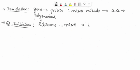 select-all-the-events-that-explain-how-termination-of-the-translation-occurs-the-ribosome-translates-the-polyadenylation-signal-sequencepolya-and-the-polypeptide-is-released-a-protein-called-92489