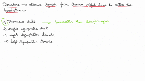 which-structure-allows-lymph-from-the-lower-right-limb-to-enter-the-bloodstream-a-thoracic-duct-b-ri-10865