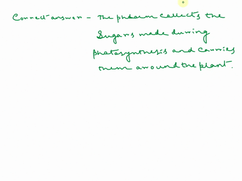 why-is-it-important-that-a-plants-phloem-extends-into-its-leaves-a-the-phloem-allows-carbon-dioxide-to-enter-the-leaf-and-oxygen-to-escape-it-during-photosynthesis-b-the-phloem-brings-water-47287