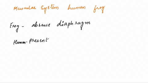 compare-human-and-frog-muscular-and-skeletal-systems-16837