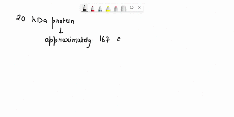 molecular_weight-20kda-25kda-37kda-distance-traveled-from-top-of-gel-in-om-sokda-75kda-1ookda-1s0kda-250kda-protein-protein-18-bcm-and-18cm-18cm-and-zocm-the-average-amino-acid-residue-prote-01908