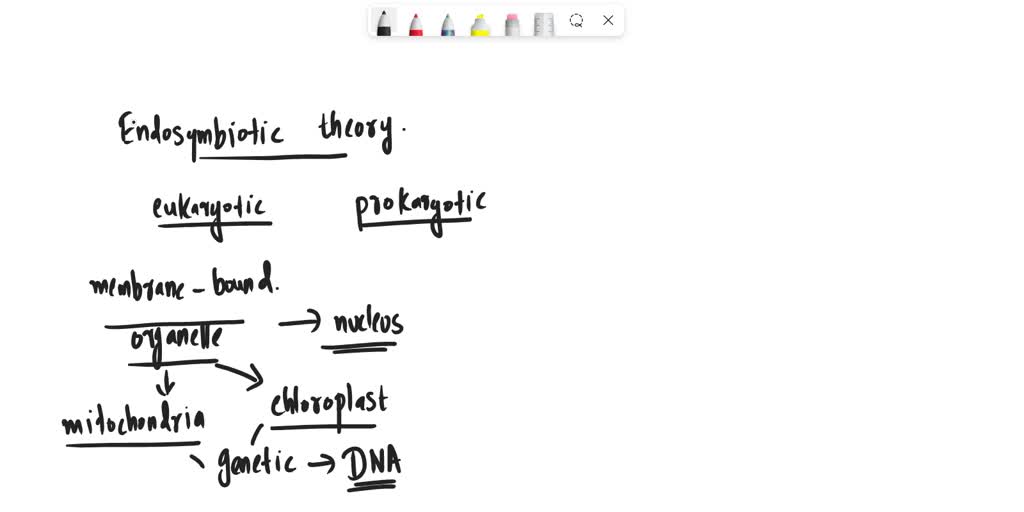 SOLVED The endosymbiotic theory describes how these structures formed