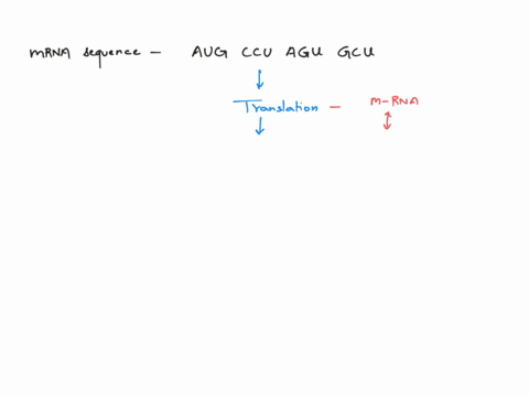 question-12-given-the-mrna-strand-sequence-aug-ccu-agu-gcu-using-the-table-below-what-i-the-sequence-of-amino-acids-created-from-the-mrna-sequence-above-second-letter-uuu-ucu-phe-uau-ugu-uuc-19767