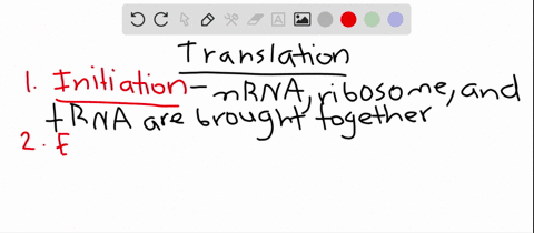 what-are-the-three-steps-of-translation