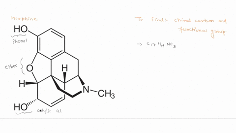 morphine-shown-below-is-an-opiate-drug-and-painkiller-how-many-chiral-carbons-are-present-in-this-molecule-which-nitrogen-containing-functional-group-present-ho-ho-5-chiral-carbans-amine-tun-40587