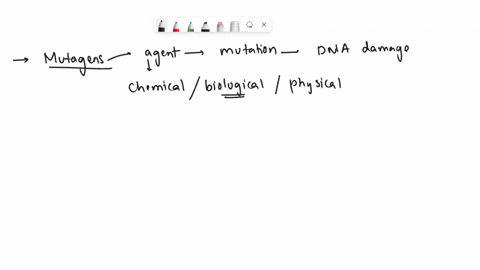 above-is-diagram-of-what-process-excision-repair-missmatch-repair-dna-polymerase-proofreading-schizo-repair-60475