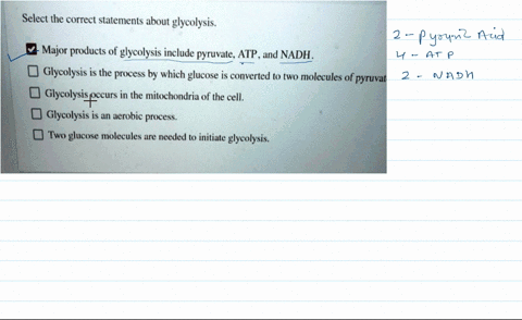 select-the-correct-statements-about-glycolysis-major-products-of-glycolysis-include-pyruvate-atp-and-nadh-_-glycolysis-is-the-process-by-which-glucose-is-converted-to-two-molecules-of-pyruva-70429
