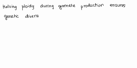why-is-it-important-that-ploidy-is-halved-when-producing-gametes-62001