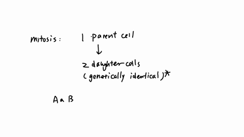 a-cell-with-three-pairs-of-chromosomes-has-the-genotype-aa-bb-cc-with-each-locus-on-a-different-chromosome-if-this-cell-were-to-undergo-mitotic-division-how-many-genetically-different-types-98202