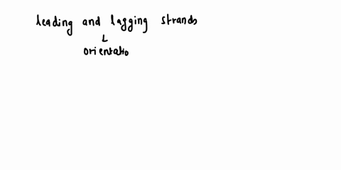 what-is-the-difference-between-the-leading-strand-and-the-lagging-strand-in-dna-replicationi-understand-that-the-answer-is-the-leading-strand-is-synthesized-continuously-in-the-5-to-3-direct-74793