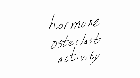 hormone-that-increases-blood-calcium-levels-by-stimulating-osteoclast-activity
