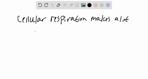 what-is-the-difference-between-cellular-respiration-and-fermentation-82639
