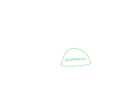a-diagram-that-models-the-process-of-photosynthesis-is-shown-below-complete-the-diagram-by-filling-in-the-missing-labels-i-have-this-so-far-161780991-6638-obclassid-12c912ae9f7apprnd-8510-19-89682