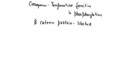 1-how-are-glycosidic-linkages-different-from-peptide-bonds-group-of-answer-choices-peptide-bonds-always-form-at-specific-locations-on-each-monomer-while-glycosidic-linkages-can-form-at-vario-52993