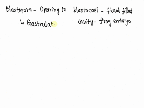 what-is-the-fate-of-blastopore-in-frog-embryo-explain-66609