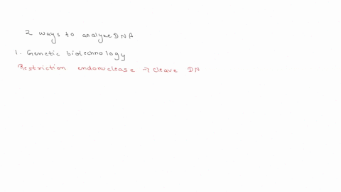 you-are-studying-a-dna-binding-protein-with-a-helix-turn-helix-motif-and-you-identify-a-form-of-the-protein-that-has-a-glu-substituted-for-a-lys-along-the-binding-interface-between-the-prote-55939
