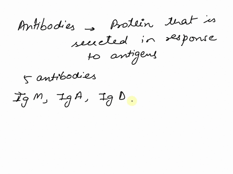 which-class-of-antibody-can-cross-the-placenta-a-iga-b-igd-c-ige-d-igg-e-igm-22851