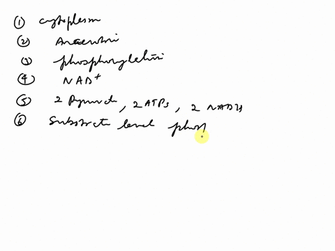 where-in-a-cell-does-glycolysis-occur-glycolysis-is-___________________-aerobic-anaerobic-the-process-of-attaching-a-phosphate-group-to-a-molecule-is-called-________________________-note-thi-59143