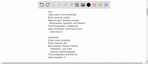 vertebrate-classes-use-the-following-table-to-fill-in-characteristics-for-each-of-the-vertebrate-classes-group-class-name-body-covering-reproduction-thermorogulation-hean-chambers-fish-amphi-54537
