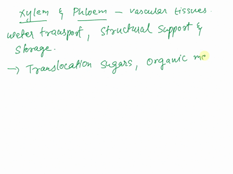 what-are-the-functions-of-xylem-and-phloem-what-cells-are-involved-in-their-normal-activities-06503