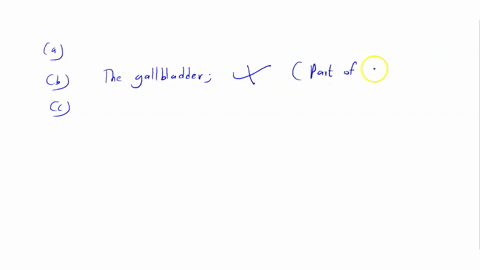 which-is-not-a-part-of-the-digestive-system-the-bladder-the-gallbladder-the-pancreas-the-tongue