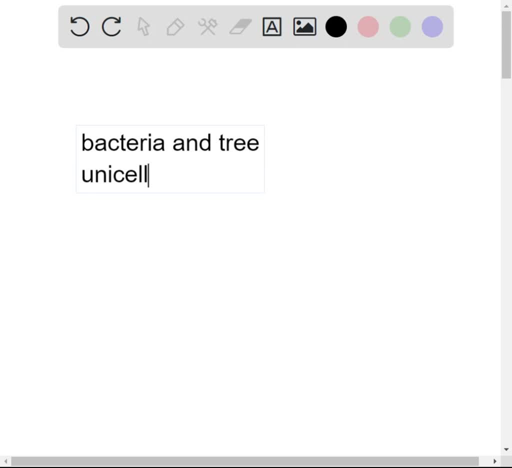Which is one way that the unicellular bacteria E. coli is different