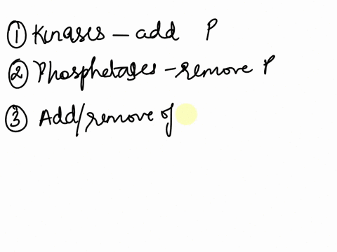 iruc-or-false_-3-phosphatases-removes-phosphate-groups-from-molecules-typically-proteins-3-kinases-are-enzymes-ihat-add-phosphate-groups-t0-molecules-typically-proteins-3-the-removing-and-ad-30264