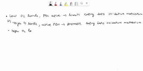 pyruvate-dehydrogenase-is-the-entry-point-for-the-glycolytic-product-pyruvate-into-oxidative-metabolism-the-citric-acid-cycle-and-oxidative-phosphorylation-because-it-occupies-such-an-import-06064