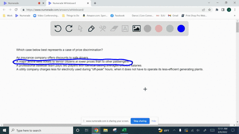 which-case-below-best-represents-a-case-of-price-discrimination-an-insurance-company-offers-discounts-to-safe-drivers-a-major-airline-sells-tickets-to-senior-citizens-at-lower-prices-than-to-75933