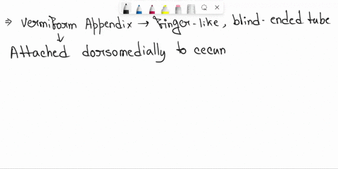 identify-the-structure-indicated-by-the-instructor-above-35366