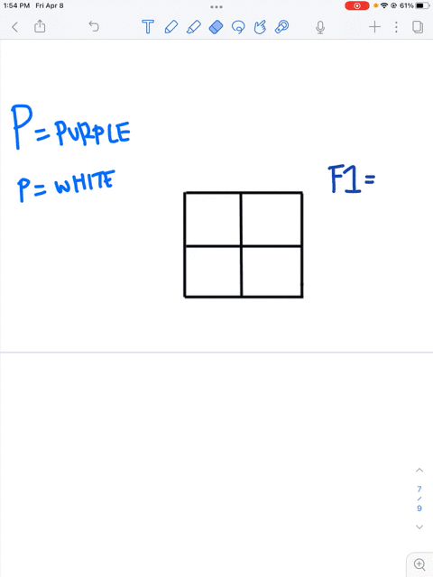 hint-use-a-punnett-square-to-help-solve-the-answer-in-pea-plants-purple-flower-color-is-dominant-to-white-flower-color-if-in-the-p-generation-a-pure-breeding-white-flowering-pea-plant-is-cro-17043