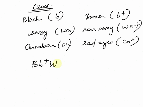 part-2-of-10-question-2-the-allele-gives-drosophila-flies-black-body-and-b-gives-brown-the-wild-type-phenotype-the-allele-wx-of-separate-gene-gives-waxy-wings-and-the-wx-gives-nonwaxy-the-wi-91307