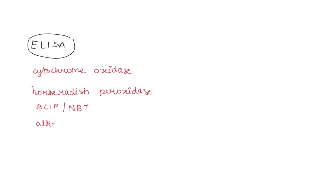 SOLVED In this exercise, the enzyme in the ELISA procedure is