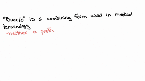 what-is-the-medical-prefix-or-suffix-of-bucco