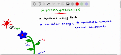 2-which-of-the-following-is-not-a-reactant-in-photosynthesis-o-a-sunlight-o-b-carbon-dioxide-o-c-water-o-doxygen-58443